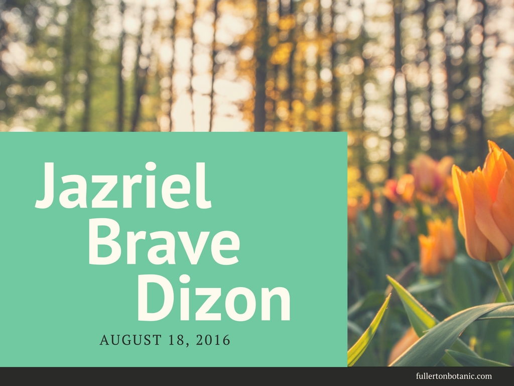 Welcome Jazriel Brave
